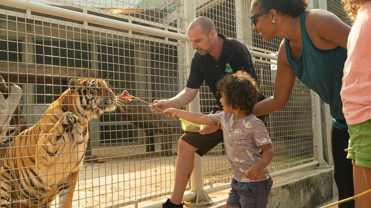 Vé Vào Cửa Cả Ngày | Angkor Wildlife & Aquarium